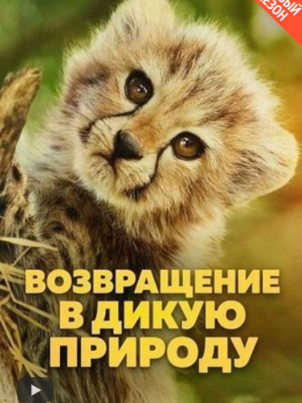 Возвращение в дикую природу